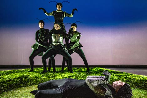 Istarsko narodno kazalište- Gradsko kazalište Pula: Beskrilci u oblacima, kor. Andrea Gotovina, foto: Dario Družeta