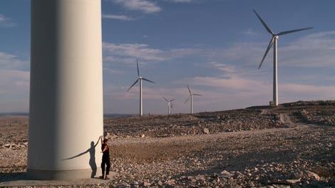 Plesati sa..., autorica Irma Omerzo