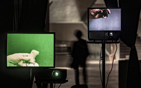 Nicole Hewitt, Žene minorne spekulacije, sekvenca 5 (Mutacije), foto: MSU Zagreb