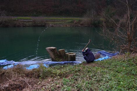 Zvjezdana Jembrih: Plavo za stablo, lijeva obala Kupe kod Obreža Vivodinskog, 2020., foto: Jure Kokeza